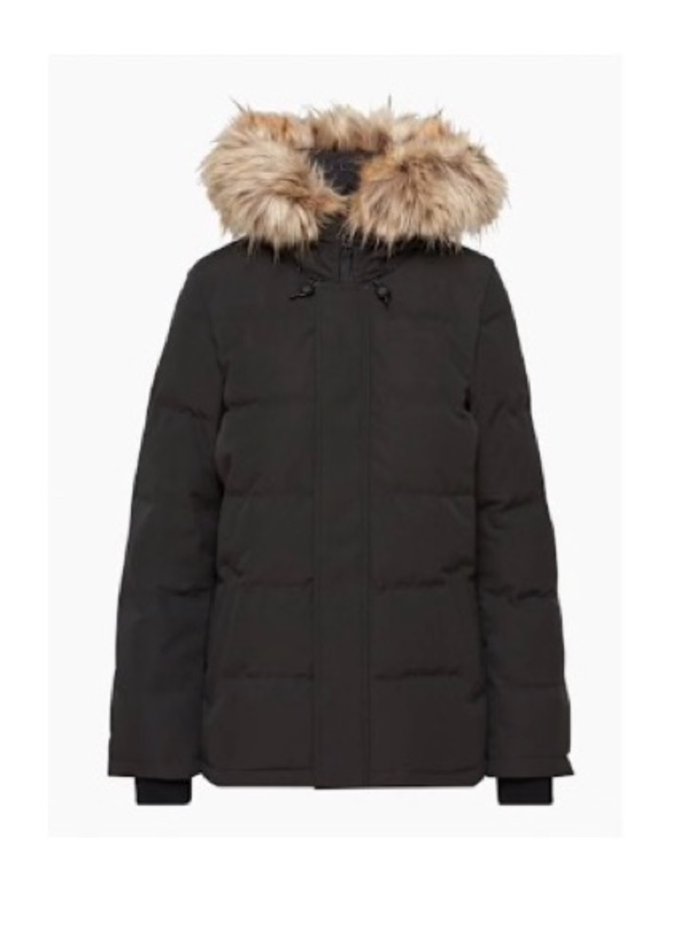 Aritzia Powder Parka Puffer Jacket with Faux Fur Trim Hood